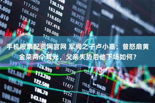 手机股票配资网官网 军阀之子卢小嘉：曾怒扇黄金荣两个耳光，父亲失势后他下场如何？